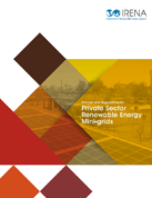 Policies and regulations for private sector renewable energy mini-grids